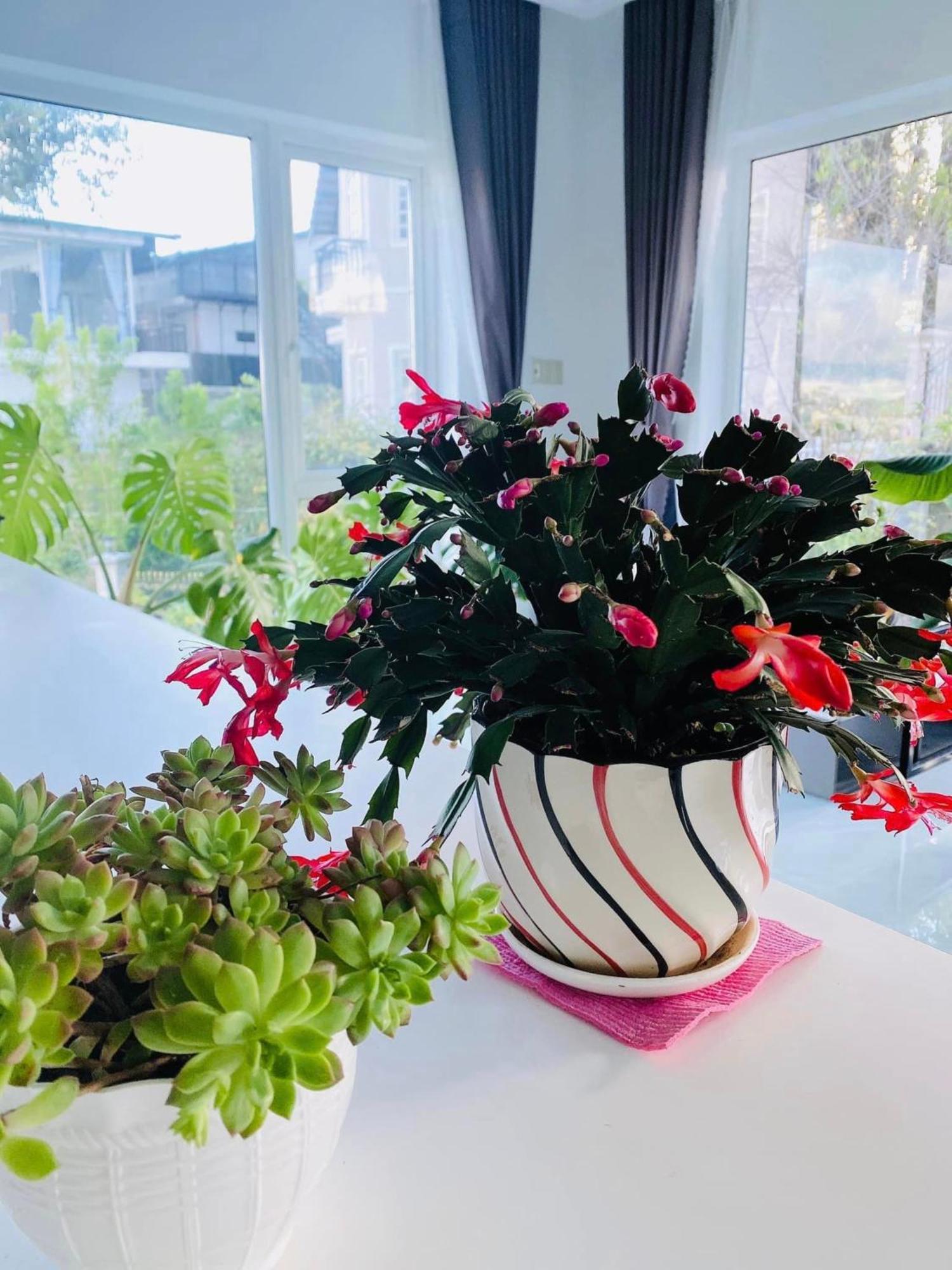 大叻Rose House公寓 外观 照片